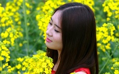 欧美人与动牲交A精品